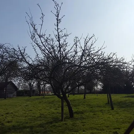 Le Domaine De La Hantraye Hébergement de vacances