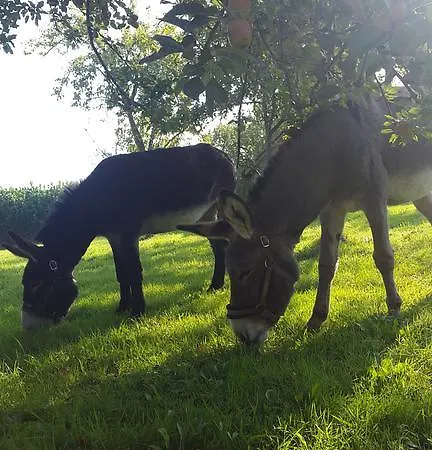 Hébergement de vacances Le Domaine De La Hantraye *