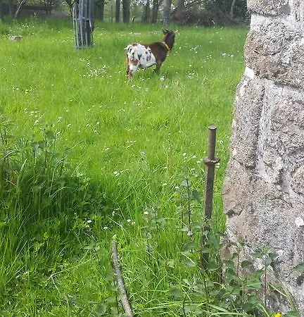 Hébergement de vacances Le Domaine De La Hantraye