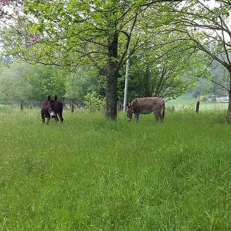 Hébergement de vacances Le Domaine De La Hantraye