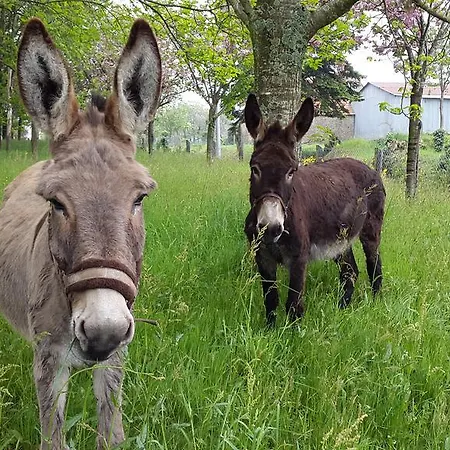 Le Domaine De La Hantraye Hébergement de vacances Saint-Hilaire-du-Harcouët